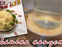 капуста квашена