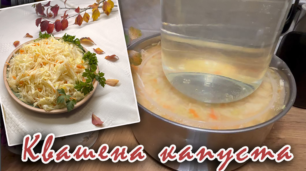 капуста квашена